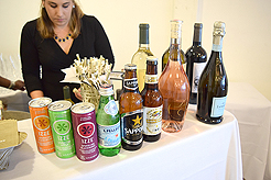 HEATHER CHRISTO BOOK LAUNCH